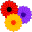 FloristWare 3.1.1162