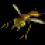 Insectoid 1.0.2