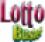 Lotto Buster 2010 4.3.8