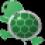 Sea Turtle Image Processor