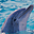 Smart Dolphins Free Screensaver 1.0