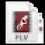 Windows FLV Icon
