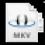 Windows MKV Icon